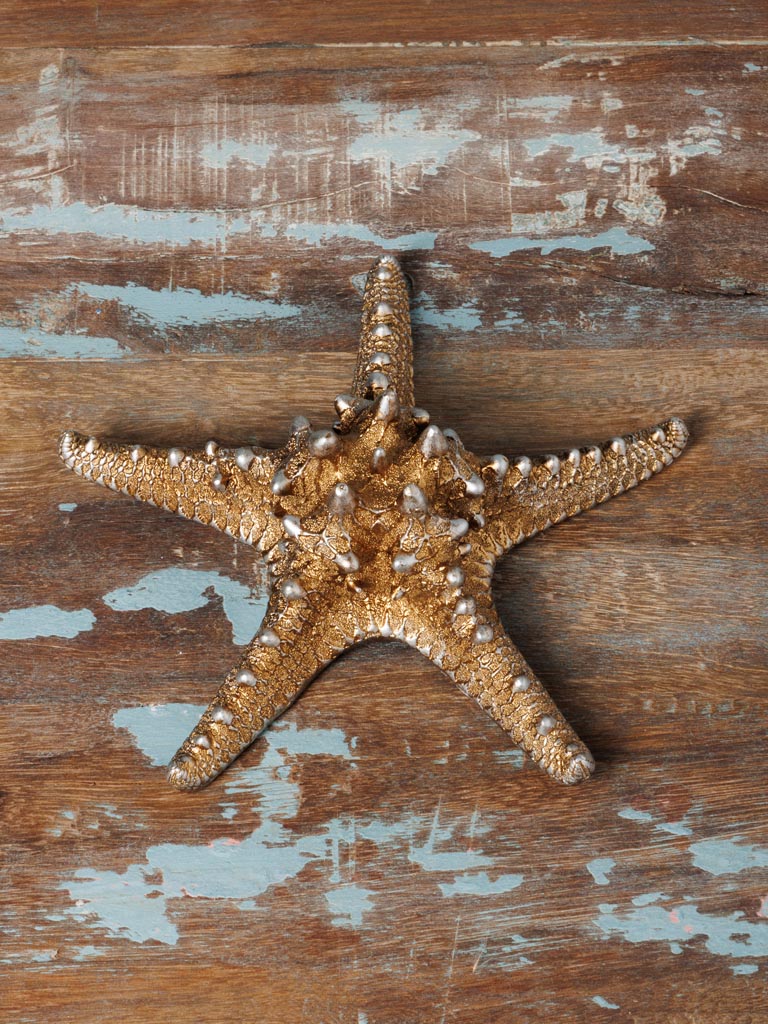 Etoile de mer