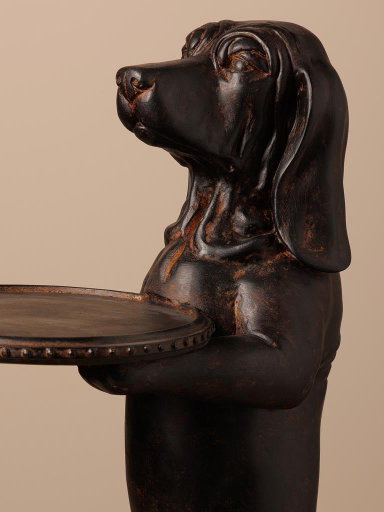 Chien porte plateau