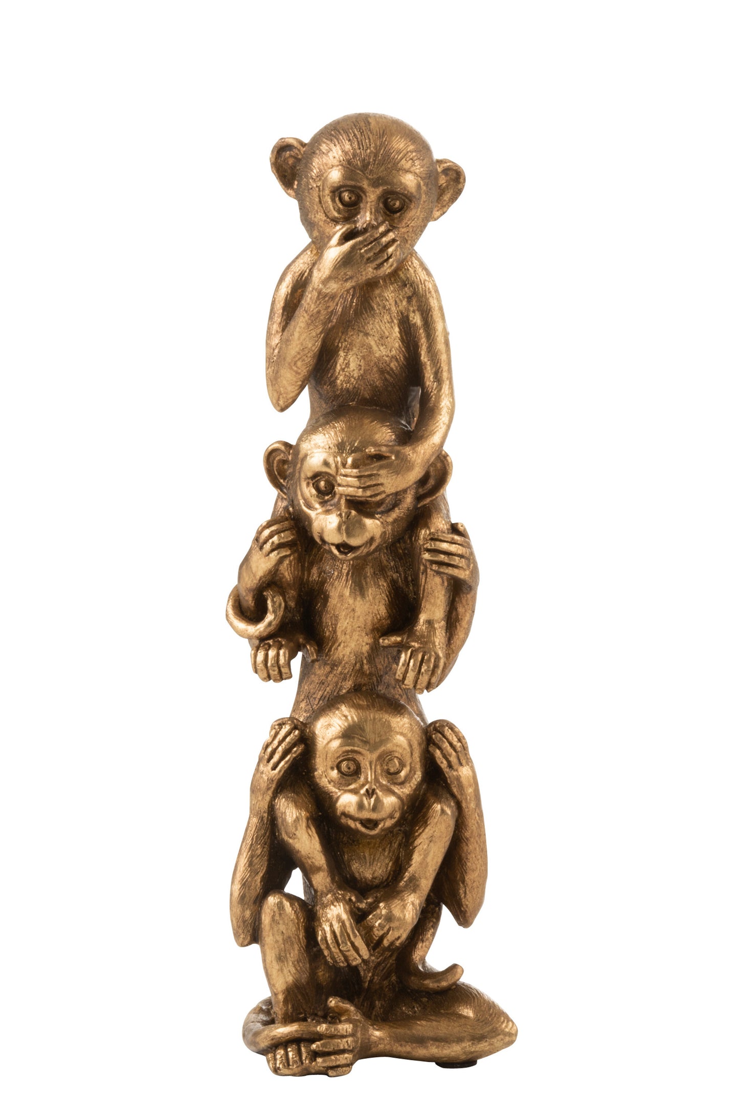 Singes de la Sagesse
