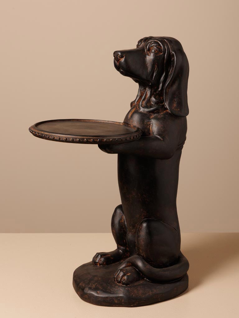 Chien porte plateau