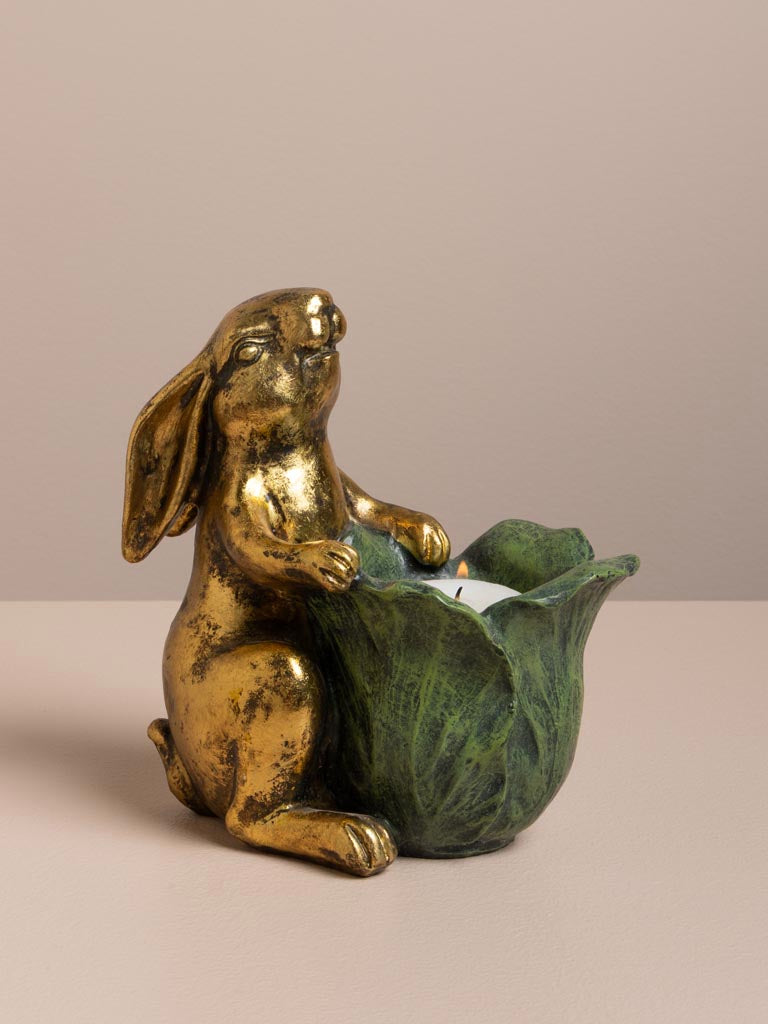 Petit lapin botanique