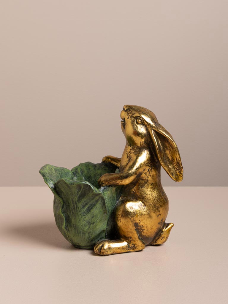 Petit lapin botanique