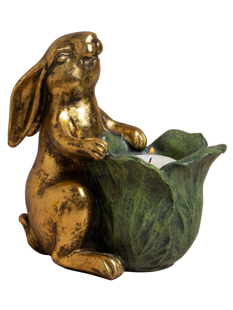 Petit lapin botanique