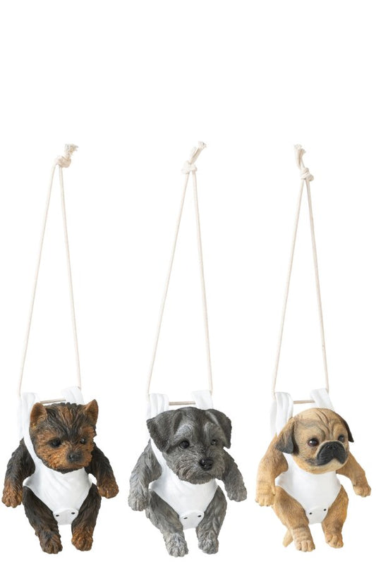 Chiens suspendus
